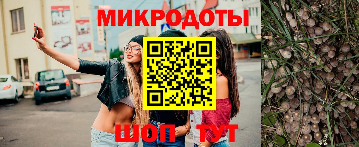 Псилоцибиновые грибы Cubensis Чернушка